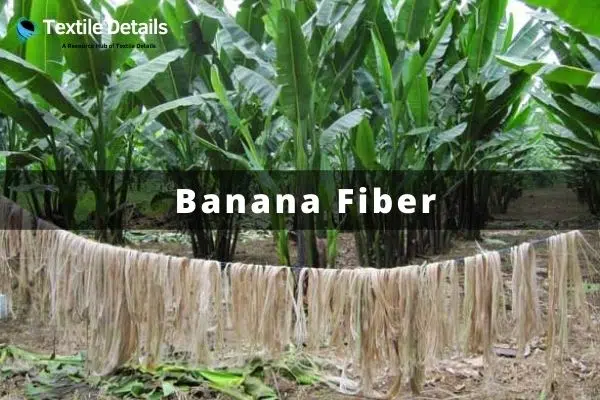 Banana fiber