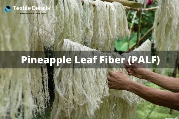 Pineapple Leaf Fiber (PALF)