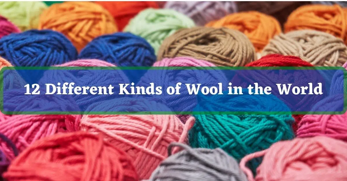 12 Different Kinds of Wool in the World