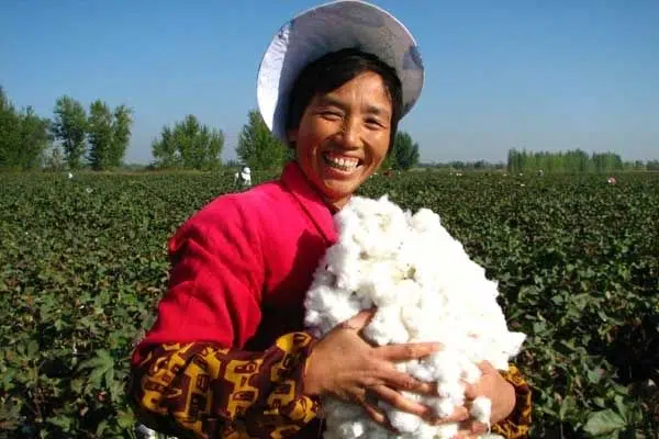 China Cotton