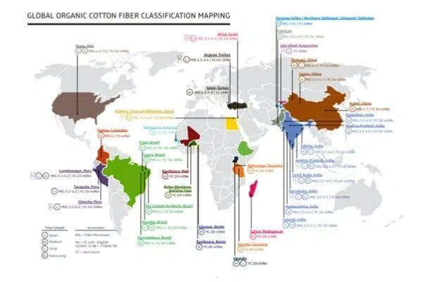 Global Organic Cotton Fibre Classification Mapping