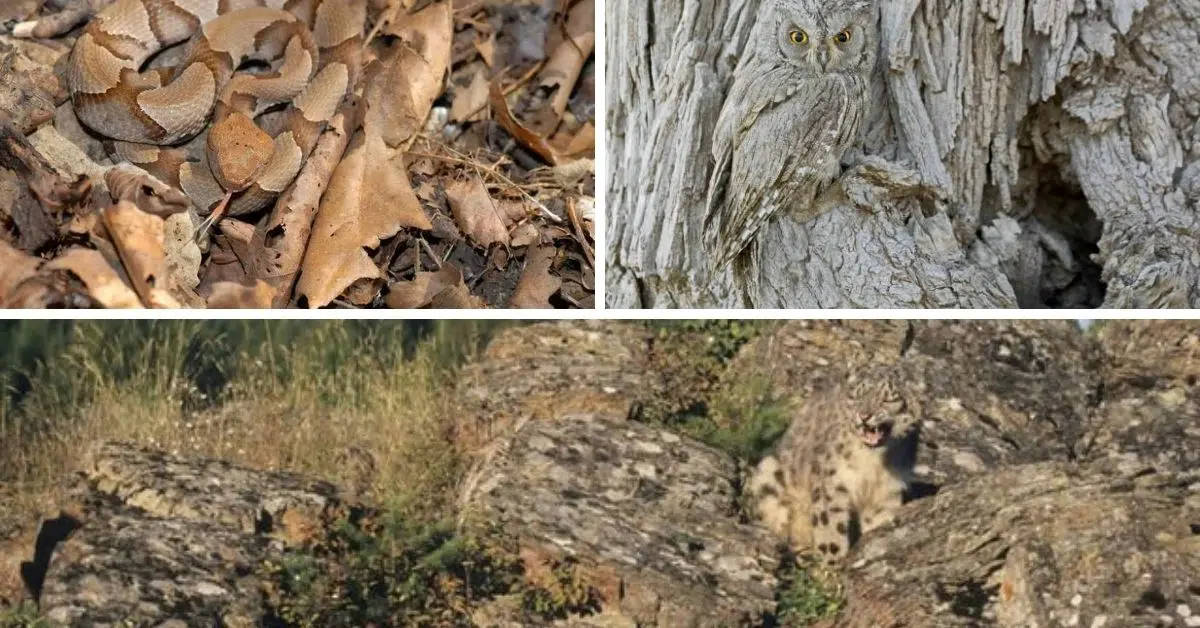 Camo Fashion Changed Ordinary Fashion Trends 1 Camouflage in nature