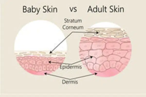 5 Reasons to Buy Organic Cotton Fabric for Baby Clothes 1 Baby skins vs adult skins