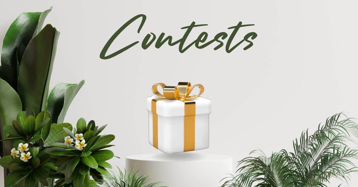 Content for Clothing Brand: 12 Best Ideas 4 Contests