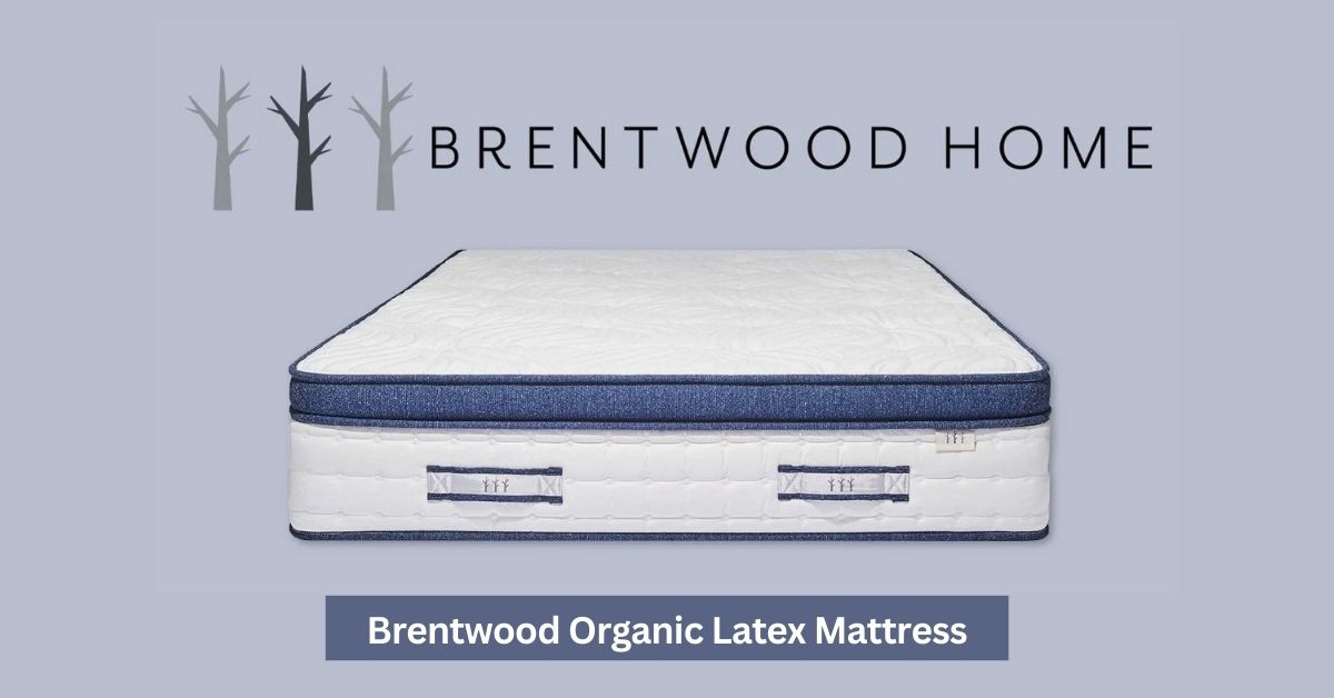 7 Best Organic Latex Mattress Reviews 2023 8 Brentwood Organic Latex Mattress