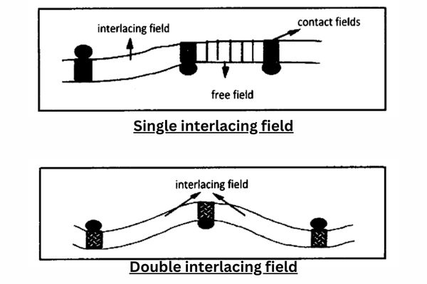Fabric Structure and Design Pinpoint Details 13 Single and double interlacing field