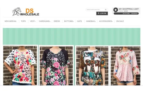 DS Wholesale website