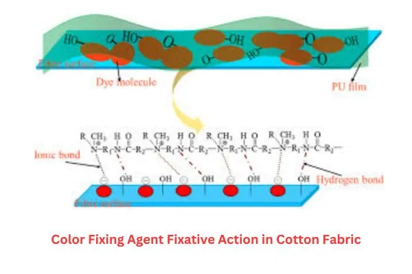 What is Fixative in Denim and Washing Color Fixing Agent 3 Color Fixing Agent Fixative Action in Cotton Fabric