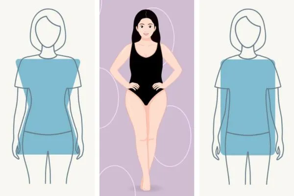 Curvy, Round, and Straight Shape Figure: Curvy, Round, and Straight Shape