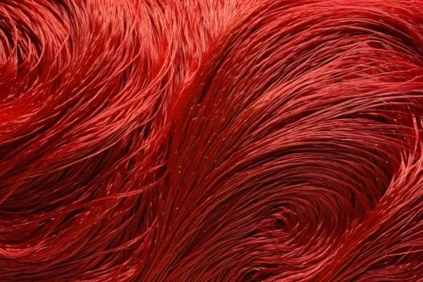 Unique 10 Uses of Silk: You Never Knew 11 Image: Uses of Silk Fiber