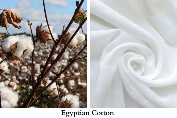 Rating out 5 Best Quality Cotton Fabric 3 Image: Egyptian Cotton