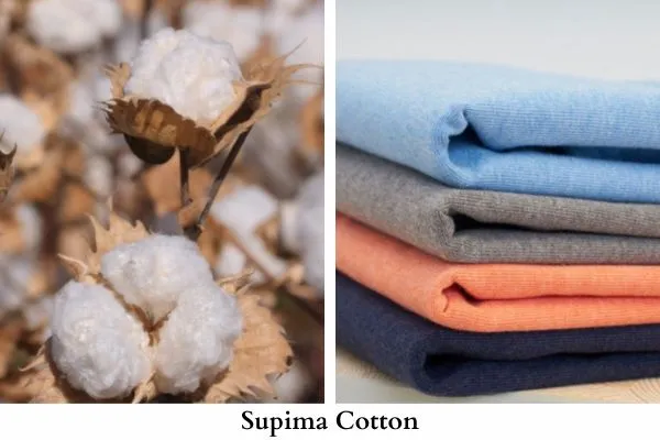 Rating out 5 Best Quality Cotton Fabric 2 Image: Supima Cotton