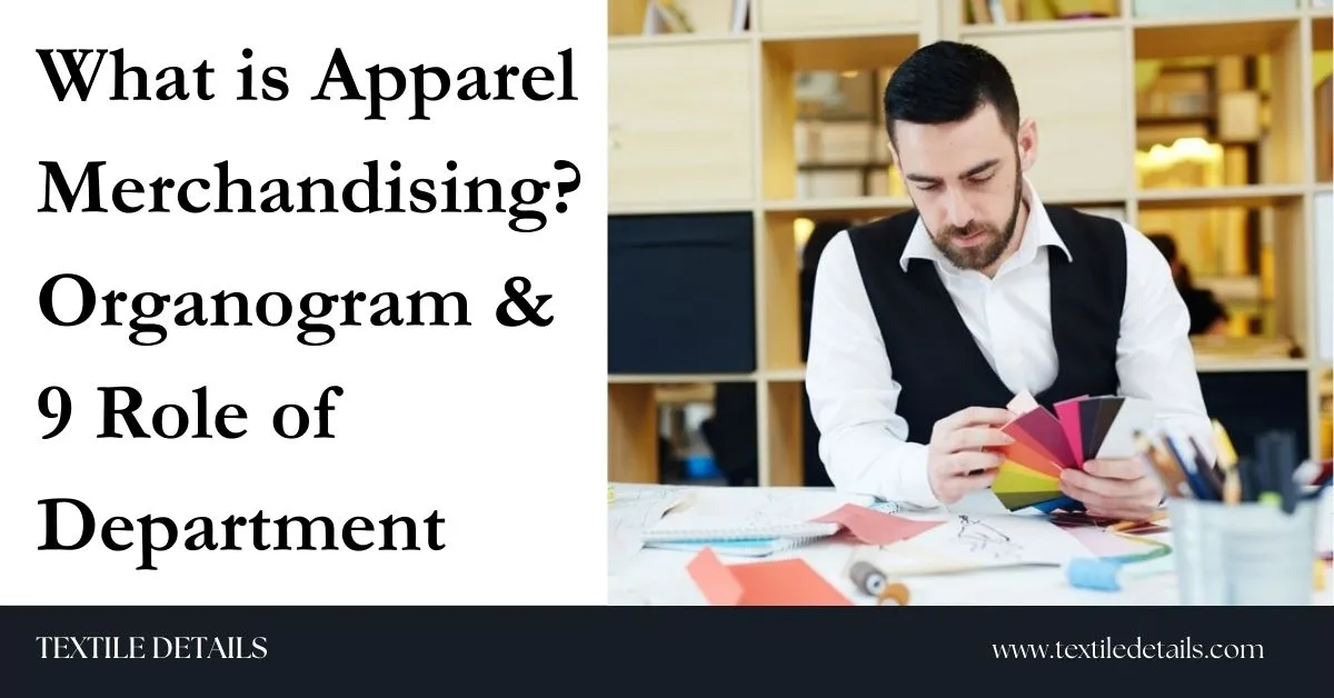 What is Apparel Merchandising Organogram & 9 Role of Department