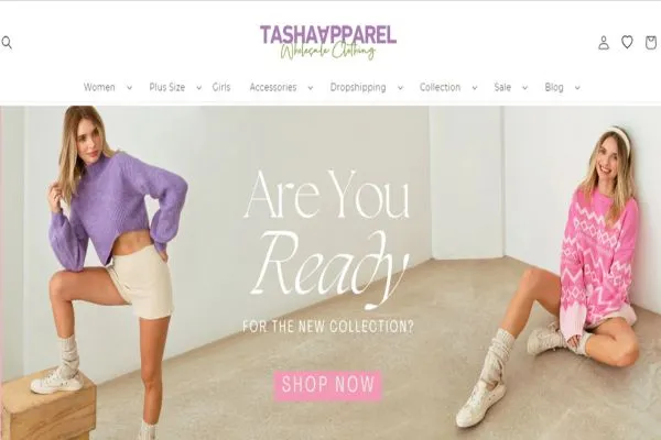 5 Best Cheap Wholesale Clothing Websites 3 Image: Tasha Apparel Wholesale Website