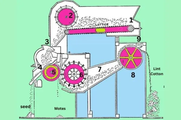 What is Cotton Fiber? 2 Image: Saw Ginning Process