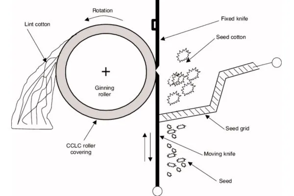 What is Cotton Fiber? 3 Image: Single Rotten Ginning Process
