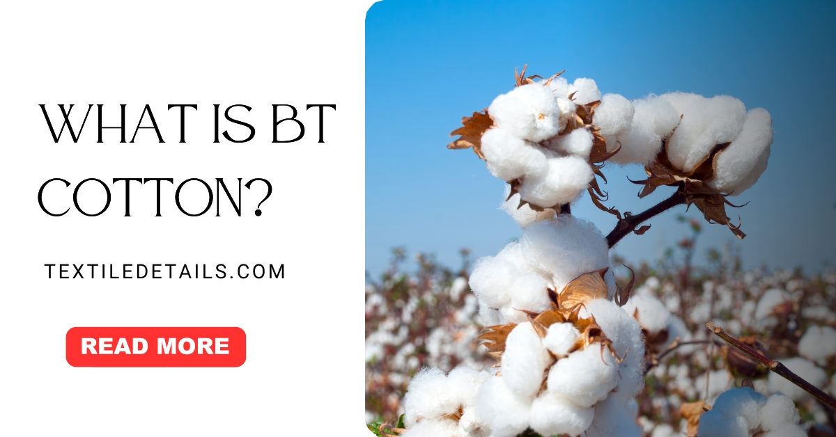 BT Cotton