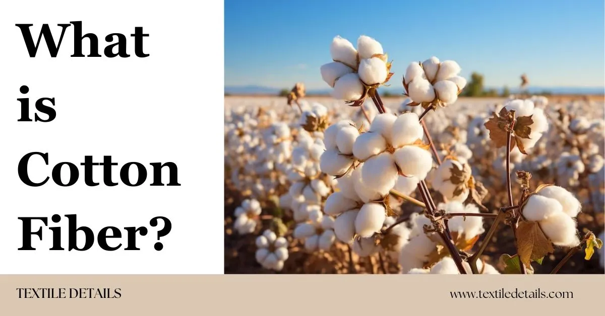 What is Cotton Fiber