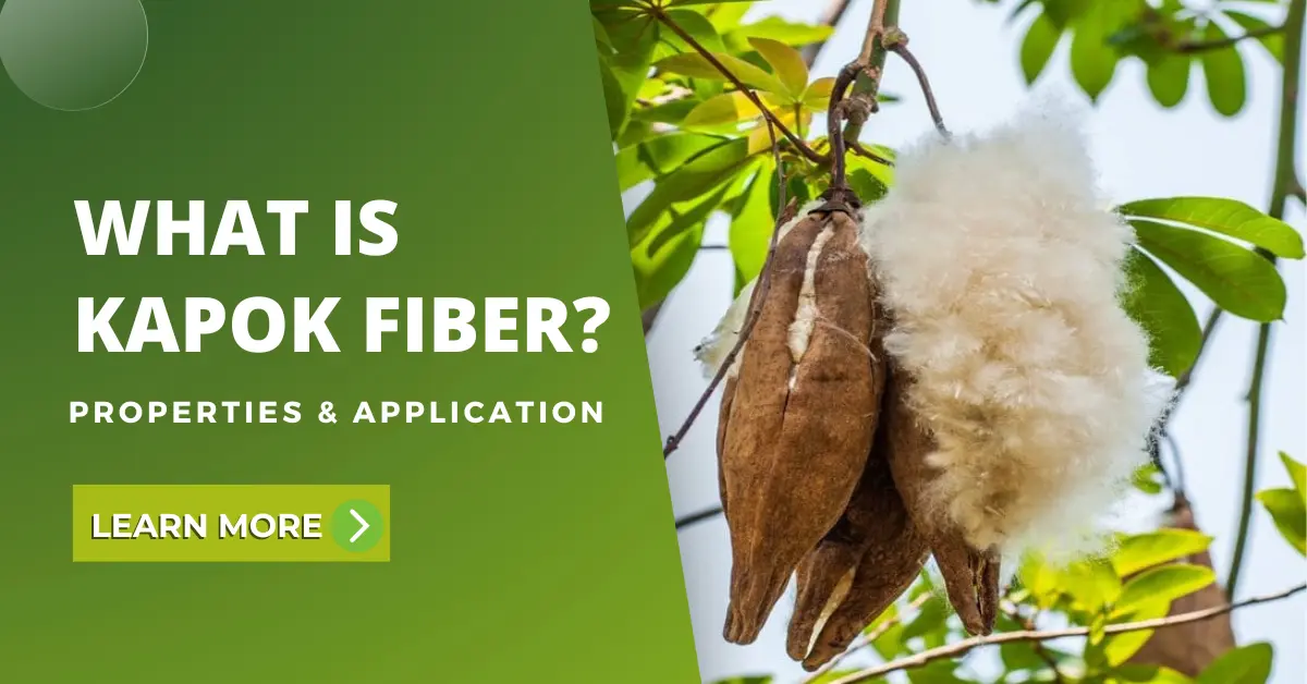 Kapok Fiber
