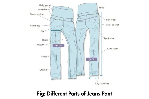 Different Parts of Jeans Pant with Pictures 1 Image: Different Parts of Jeans Pant with Pictures