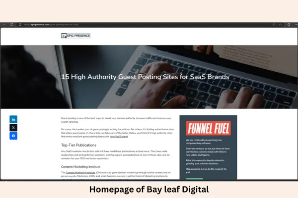 Free Guest Posting Sites for SaaS 2 Bay leaf Digital