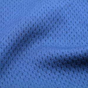 Bird Eye Mesh Fabric