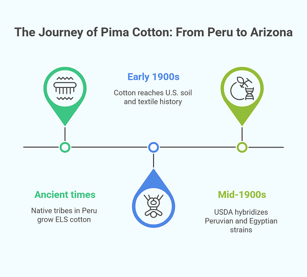 Why Pima Fabric Deserves a Spot in Your Wardrobe 1 Origins and History of Pima Cotton