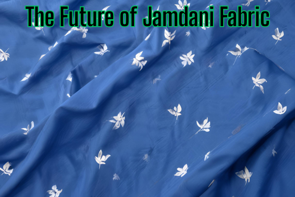 Jamdani Fabric: A Living Masterpiece Woven with Stories and Skill 4 The Future of Jamdani Fabric