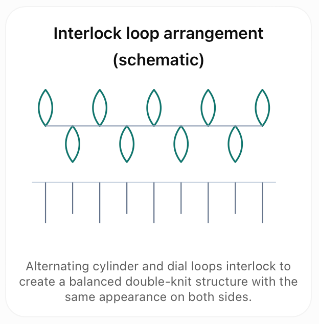 Cross sectional of Interlock Fabric